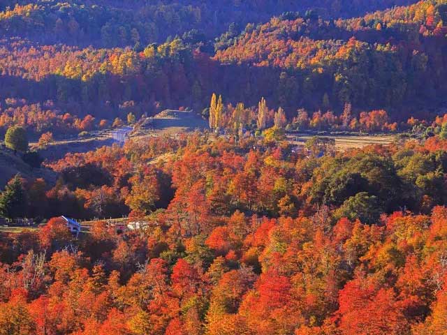 otoño