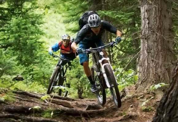 Mountain bike